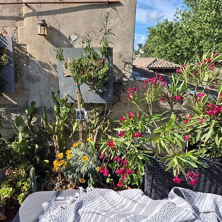 Un Nid Sur Les Toits Face Au Palais Des Papes Apartman Avignon Kültér fotó