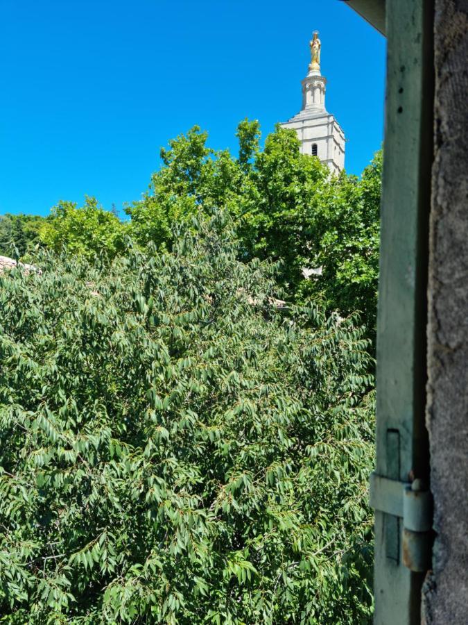 Un Nid Sur Les Toits Face Au Palais Des Papes Apartman Avignon Kültér fotó