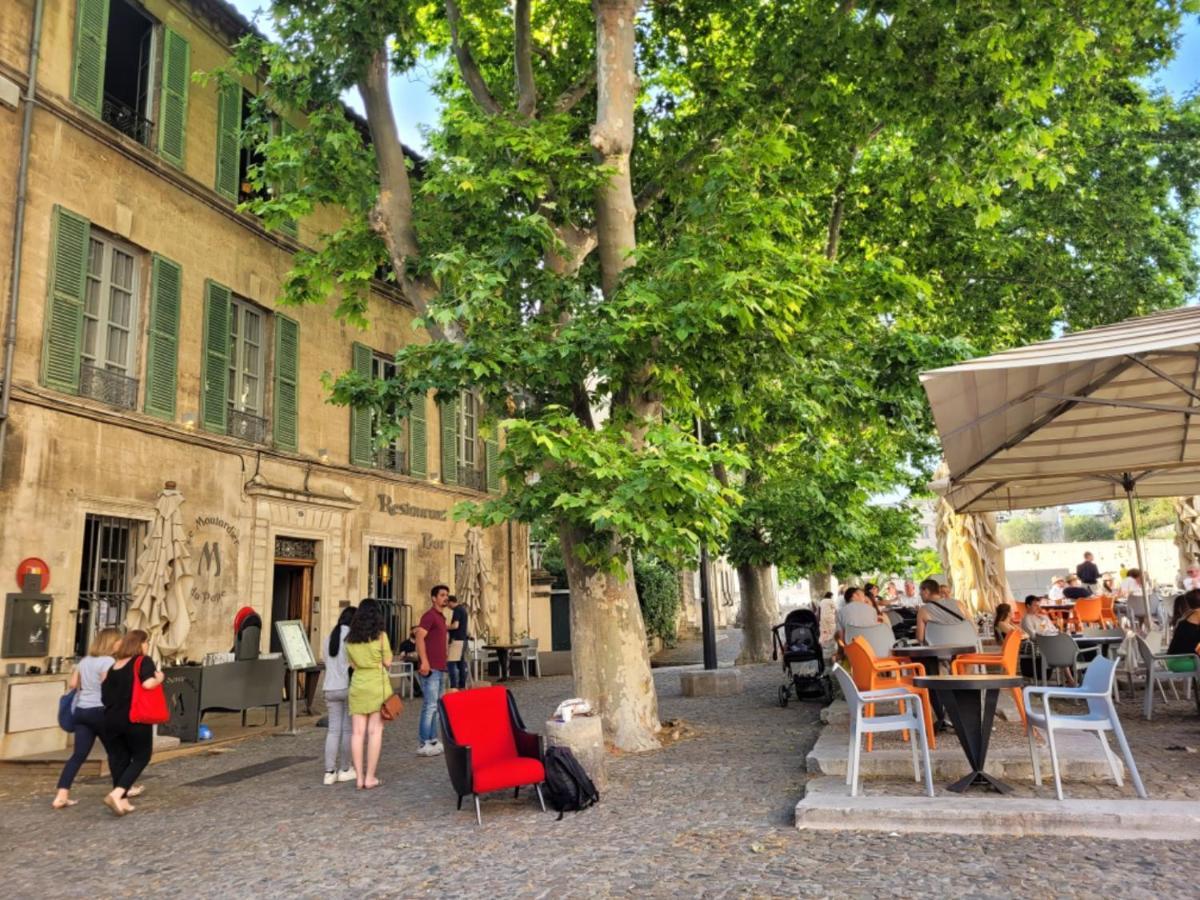 Un Nid Sur Les Toits Face Au Palais Des Papes Apartman Avignon Kültér fotó