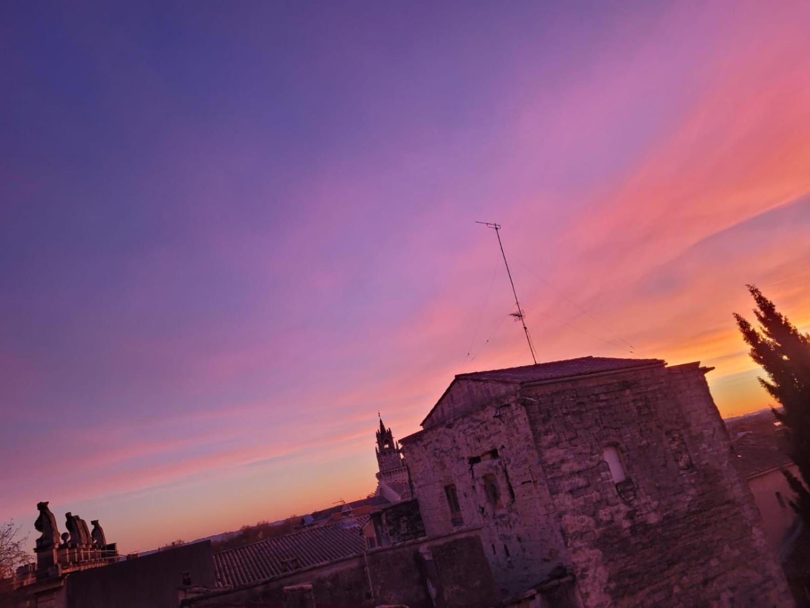 Un Nid Sur Les Toits Face Au Palais Des Papes Apartman Avignon Kültér fotó