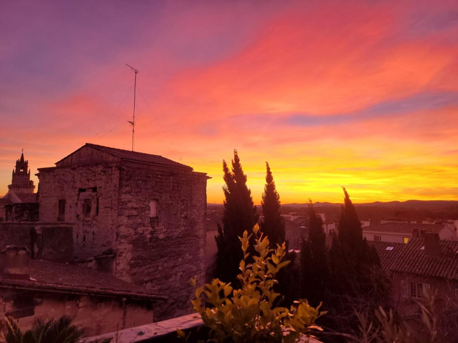 Un Nid Sur Les Toits Face Au Palais Des Papes Apartman Avignon Kültér fotó