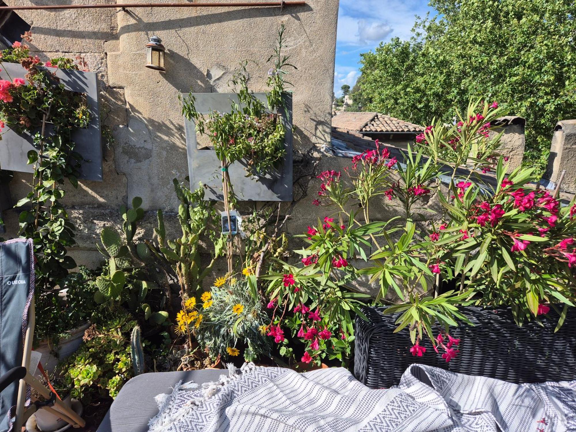Un Nid Sur Les Toits Face Au Palais Des Papes Apartman Avignon Kültér fotó