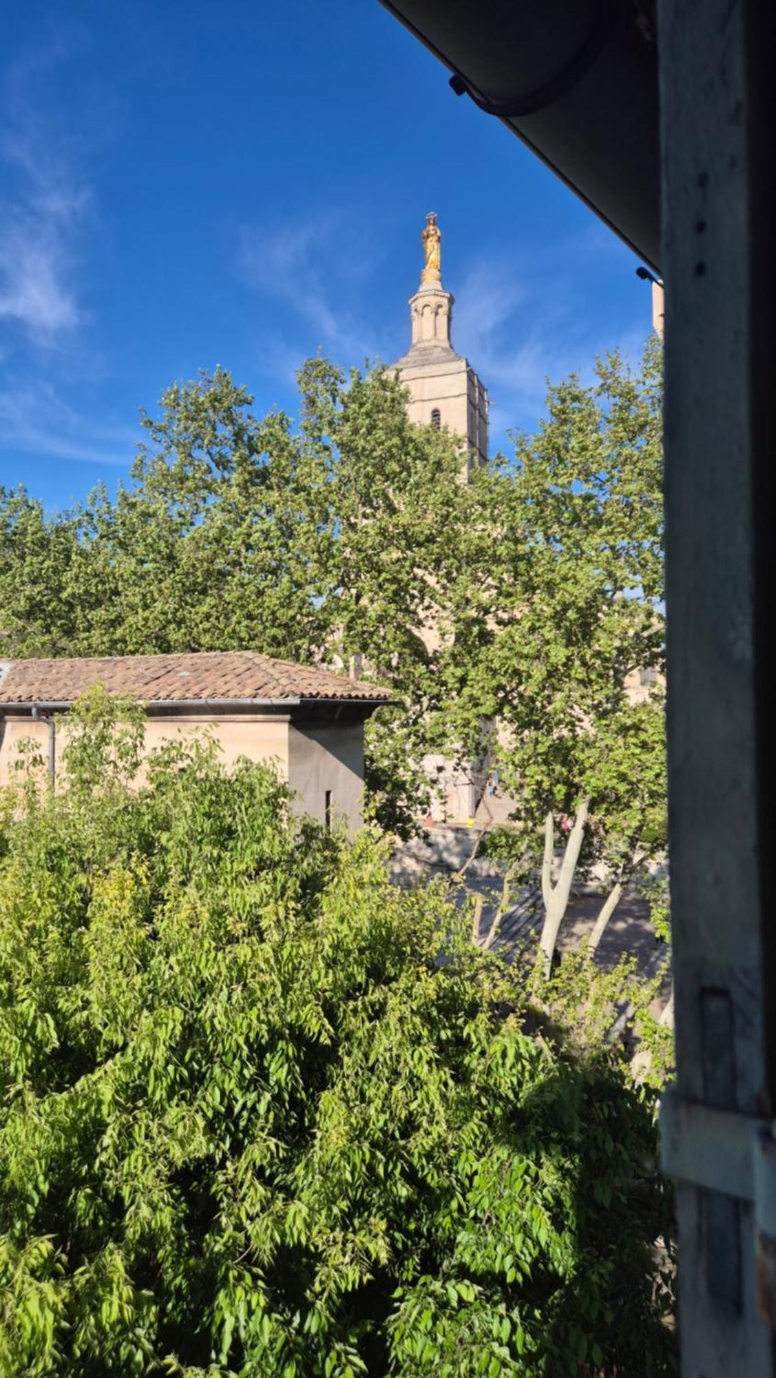 Un Nid Sur Les Toits Face Au Palais Des Papes Apartman Avignon Kültér fotó